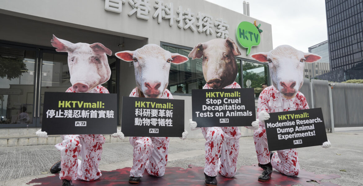 從HKTVmall母企燒錢做「頭肢離體」動物實驗探視香港「企業社會責任」（CSR）法規與文化——對動物福祉零關顧　違國際潮流