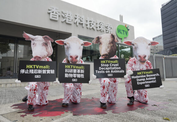 從HKTVmall母企燒錢做「頭肢離體」動物實驗探視香港「企業社會責任」（CSR）法規與文化——對動物福祉零關顧　違國際潮流
